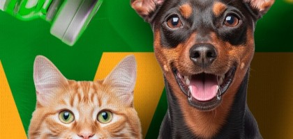 Municpio refora campanha de vacinao antirrbica